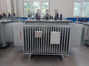 S11-M-800/10/0.4全密封油浸式電力變壓器