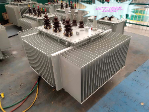S11-M-250(500)/10高過載變壓器