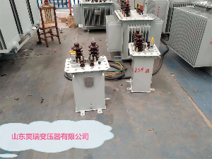 D13-M-3/10/0.23單相變壓器價格