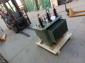 S-100kVA/20kV-0.4kV出口變壓器